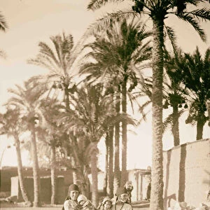 Egypt Types agriculture Peasant children palm grove