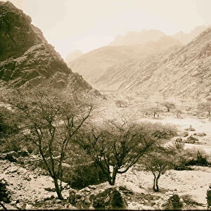 Sinai Junction Wady Feiran Wady Aleyat 1898 Egypt