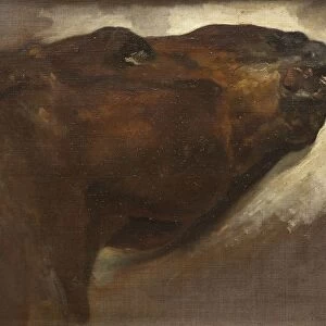 ThA odore GA ricault Study Dead Horse Painting