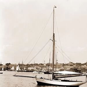 Tomboy, Tomboy (Yacht), Harbors, Yachts, 1880