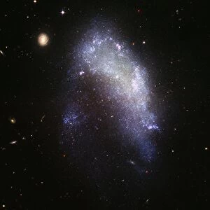 Irregular galaxy NGC 1427A