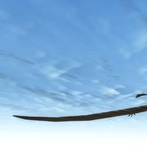 Pteranodon bird flying in blue sky
