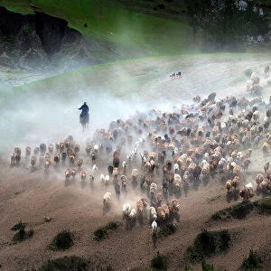 The great migration of Kazakh