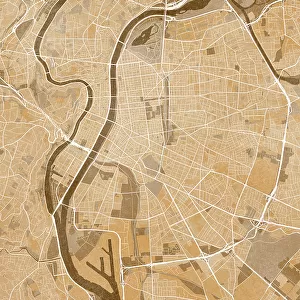 Sepia vintage map of Lyon France