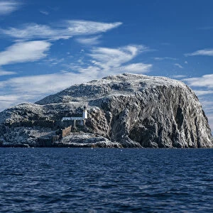 The Bass Rock home to large Northern gannet (Morus bassanus) Firth of Forth, Scotland, UK