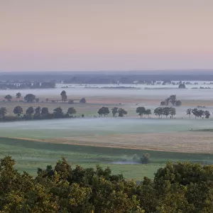 Lenzer Wische with light low lying mist at dawn, Elbe Biosphere Reserve, Lower Saxony