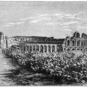 The amphitheatre of El Jemm, c1890. Artist: F Meaulle