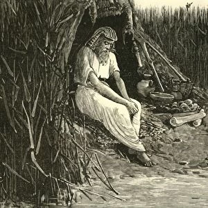 Anysis Concealed in the Marshes of the Delta, 1890. Creator: Unknown