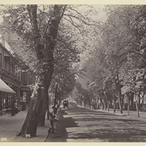 Cheltenham, the Promenade, 1860 / 94. Creator: Francis Bedford