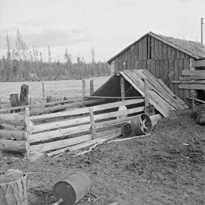 Farm buildings, slab construction, on new stump farm. Boundary County, Idaho, 1939. Creator: Dorothea Lange