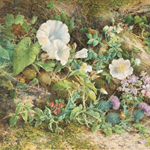 Flower Study, 1866. Creator: John Jessop Hardwick