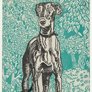 Greyhound, 1912. Creator: Moritz Jung