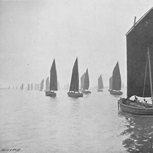 Herring Boats Off the Tyne, c1896. Artist: M Aunty