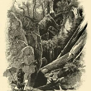 Ice Glen, Stockbridge, 1874. Creator: John J. Harley