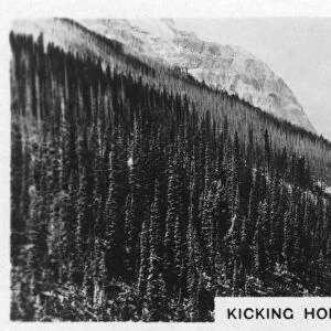 Kicking Horse River, British Columbia, Canada, c1920s