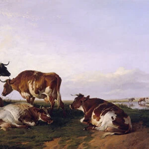 Landscape and cattle, 1868. Artist: Thomas Sidney Cooper
