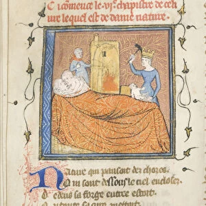 Miniature from a manuscript of the Roman de la Rose by Guillaume de Lorris and Jean de Meun, ca 1365. Artist: Master of the Rose novels (active Second Half of 14th cen. )