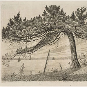 Pelham Bay, ca. 1875. Creator: Henry Farrer