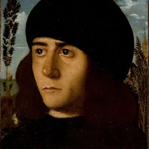 Portrait of an young man, ca 1501-1502