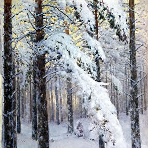 Winter Forest. Artist: Kryzhitsky, Konstantin Yakovlevich (1858-1911)