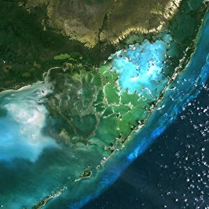 Everglades, Florida, Usa, True Colour Satellite Image. Satellite image of the Everglades. At the top of the image is the edge of the city of Miami. A bit lower is the start of the Everglades, a region of lakes and marshes, dominated by the mangrove. Opening onto Florida Bay are the Florida Keys, a long archipelago of islands connected by a road. Image taken on 14 April 1993 using LANDSAT data