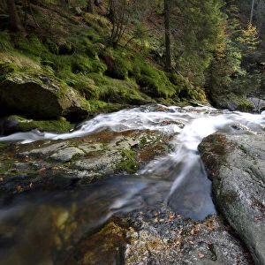 Detail of a stream in autumn, Bavarian Forest National Park, Bavaria, Germany