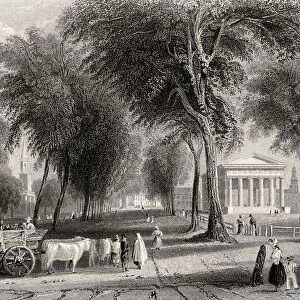 Yale College Newhaven Connecticut Usa From A 19Th Century Print Engraved By J Sands After W H Bartlett