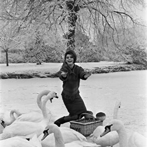 Actress Mandy Miller, former child film star, pictured here feeding swans on the river
