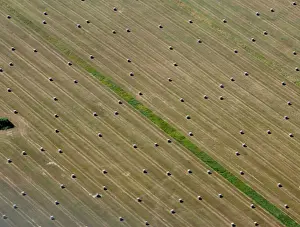 General Prints: Aerial view of bales of straw on a harvested grain field in Brandenburg state
