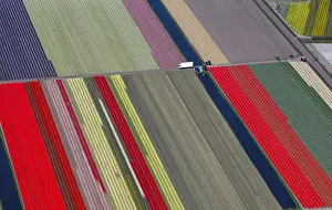 An aerial view of flower fields is seen near the Keukenhof park, also known as