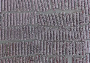 An aerial view of around public bicycles seen under plastic rain cover before being put