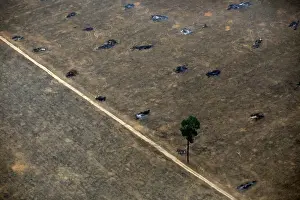 Environment Prints: An aerial view shows a deforested plot of the Amazon near Porto Velho