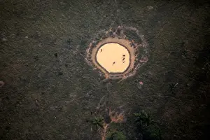 Environment Prints: An aerial view shows a deforested plot of the Amazon near Porto Velho