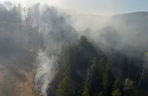 An aerial view shows a forest fire in the Siberian Taiga area outside Krasnoyarsk