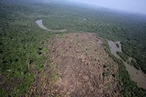 Prints of An aerial view of a tract of Amazon jungle recently cleared by loggers and farmers near the city of Novo Progresso, Para state, Brazil, September 22, 2013. Picture taken September 22, 2013 Brazil Prints: An aerial view of a tract of Amazon jungle recently cleared by loggers