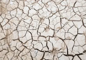 Spain Prints: Animal footprints are stamped on the dried out ground of the partially empty Contreras