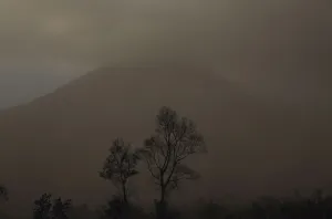 Indonesia Prints: An ash cloud covers trees in front of Mount Sinabung volcano