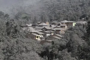 Indonesia Prints: The ash from Sinabung volcano covers trees and houses at Mardingding village