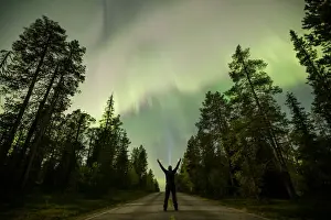 The Aurora Borealis (Northern Lights) is seen over the sky near the village of Pallas