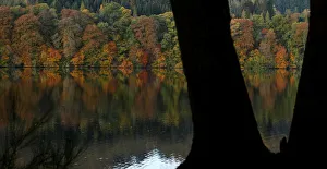 United Kingdom Prints: Autumn leaves are reflected on Loch Faskally, Pitlochry, Scotland