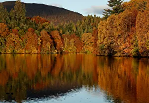 United Kingdom Prints: Autumn leaves are reflected on Loch Faskally, Pitlochry, Scotland