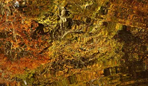 Images Dated 2014 October: Autumn leaves are reflected in Loch Faskally in Pitlochry
