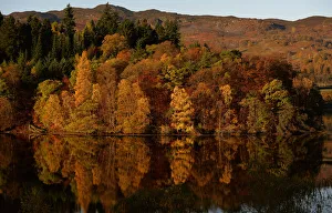 Autumnal leaves are reflected on Loch Faskally, near Pitlochry, Scotland