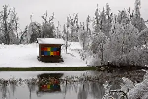 Weather Prints: A bee hay is seen surrounded by ice-capped broken trees in Rakitnik