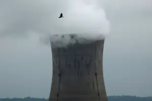 A bird flies over the Three Mile Island Nuclear power plant in Goldsboro