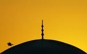 Animal Prints: Bird flies near mosque in town of Urosevac
