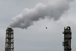 Images Dated 24th May 2016: A bird flies near smoke being emitted from cement factory in an industrial area of