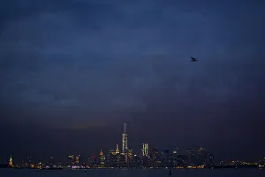A bird flies over the skyline of Lower Manhattan as it is pictured from the Staten Island A bird flies over the skyline of Lower Manhattan as it is pictured from the Staten Island