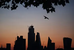 United Kingdom Prints: A bird flies as the sun rises behind the city of London financial district in London