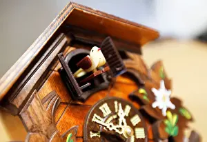 Time Prints: Bird house wall clock named Coucou is pictured in a watchmakers shop in Bordeaux